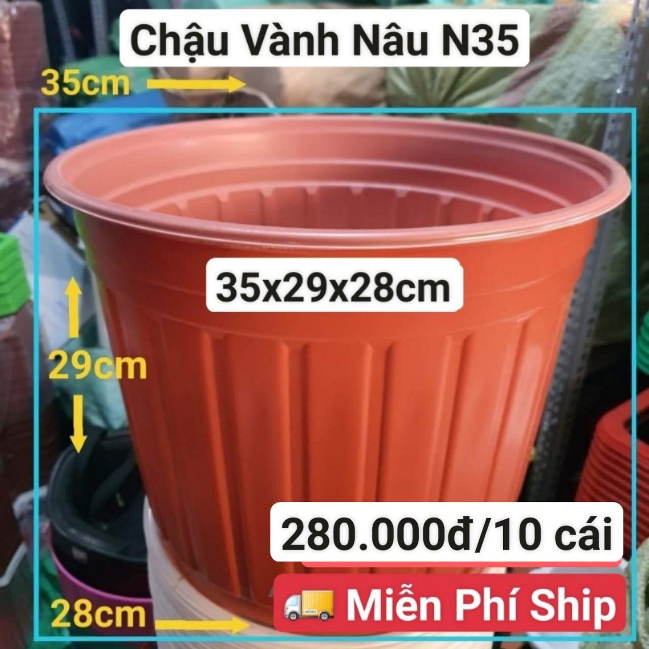 10 Chậu Vành Nâu N35