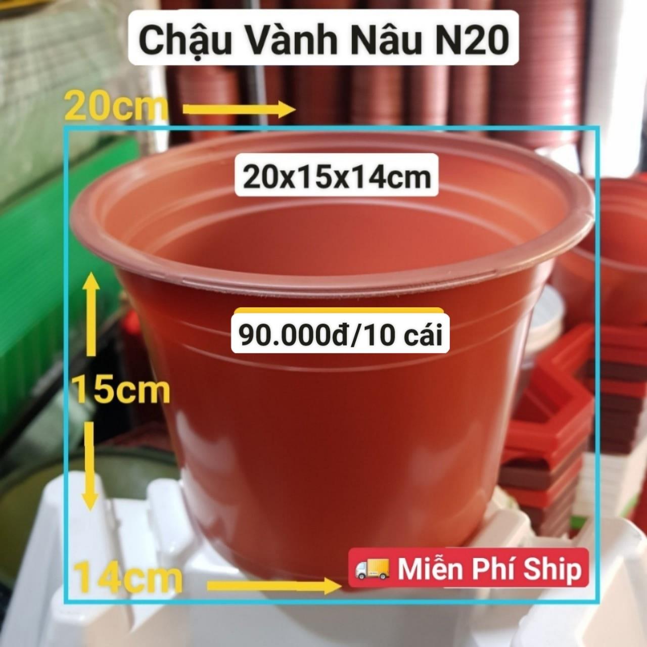 10 Chậu Vành Nâu N20