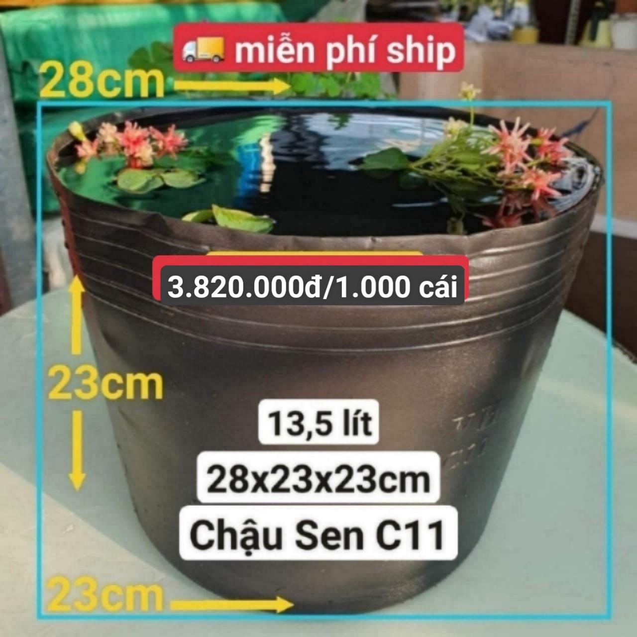 1000 Chậu Nhựa Trồng Sen C11