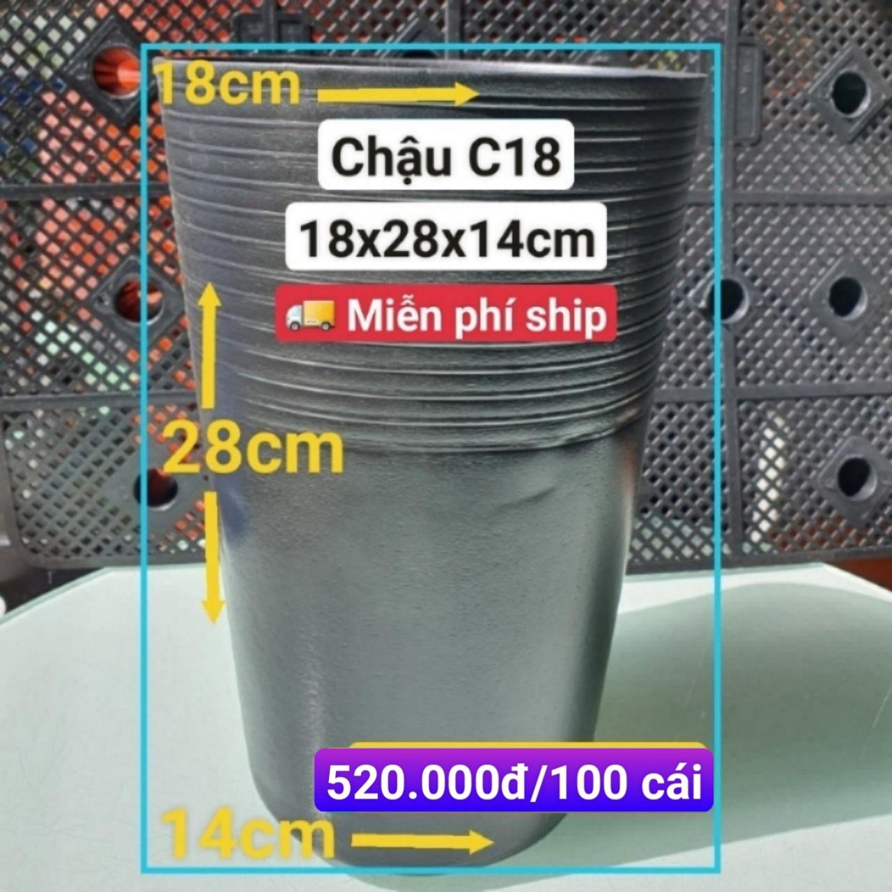 100 Chậu Ươm Cây Giống C18