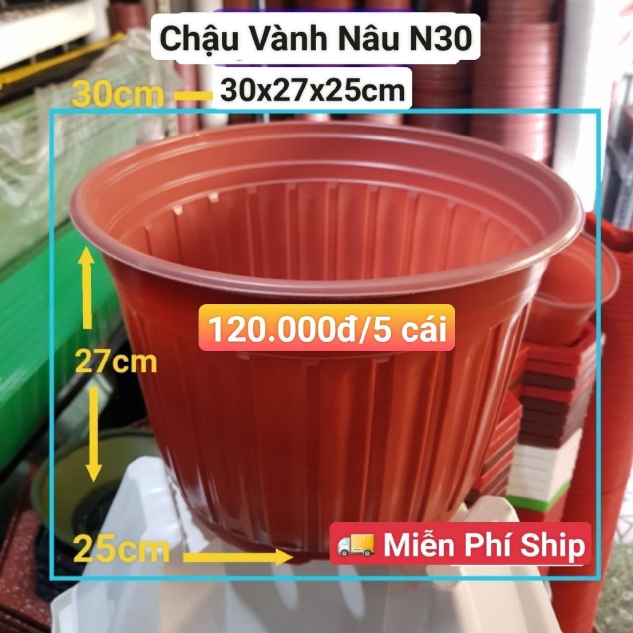 5 Chậu Vành Nâu N30