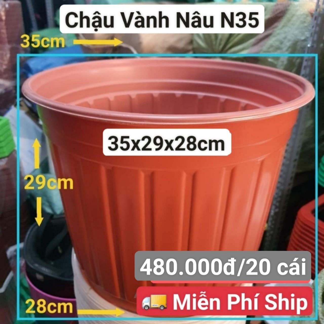 20 Chậu Vành Nâu N35