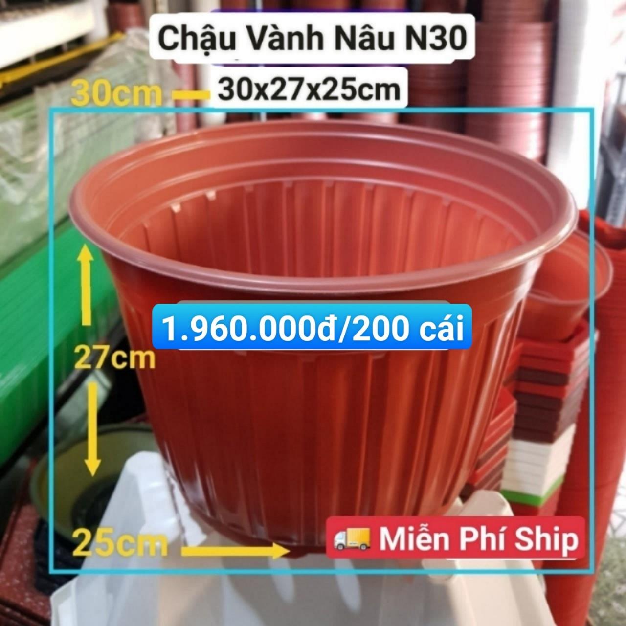 200 Chậu Vành Nâu N30