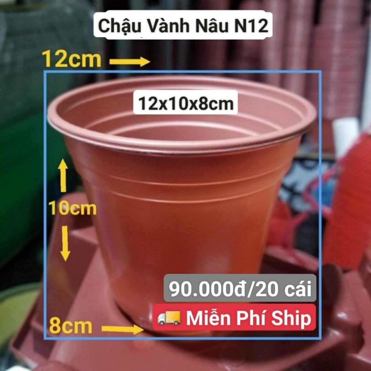 20 Chậu Vành Nâu N15