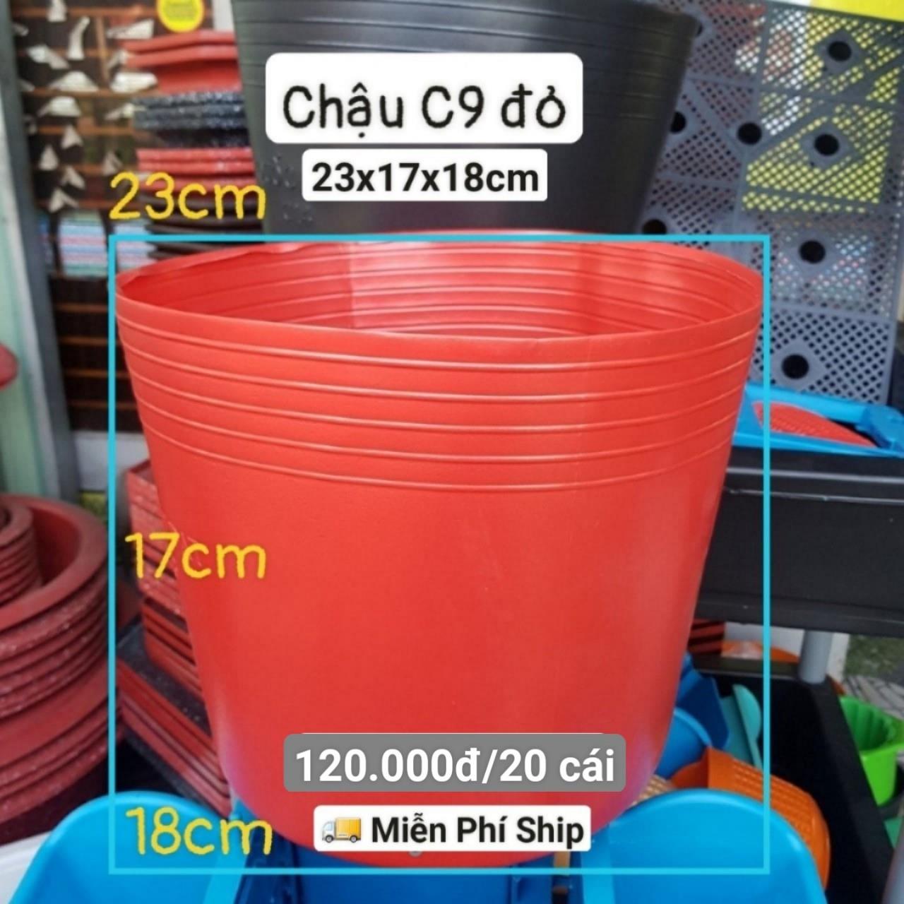 20 Chậu Mềm Đỏ C9