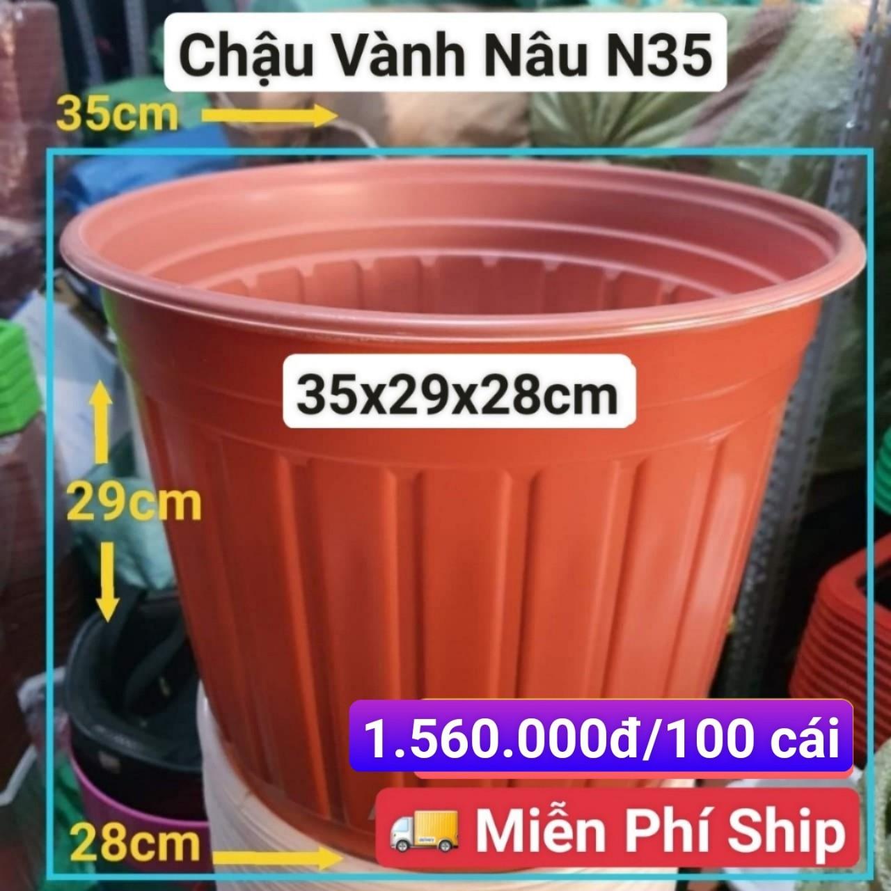 100 Chậu Vành Nâu N35