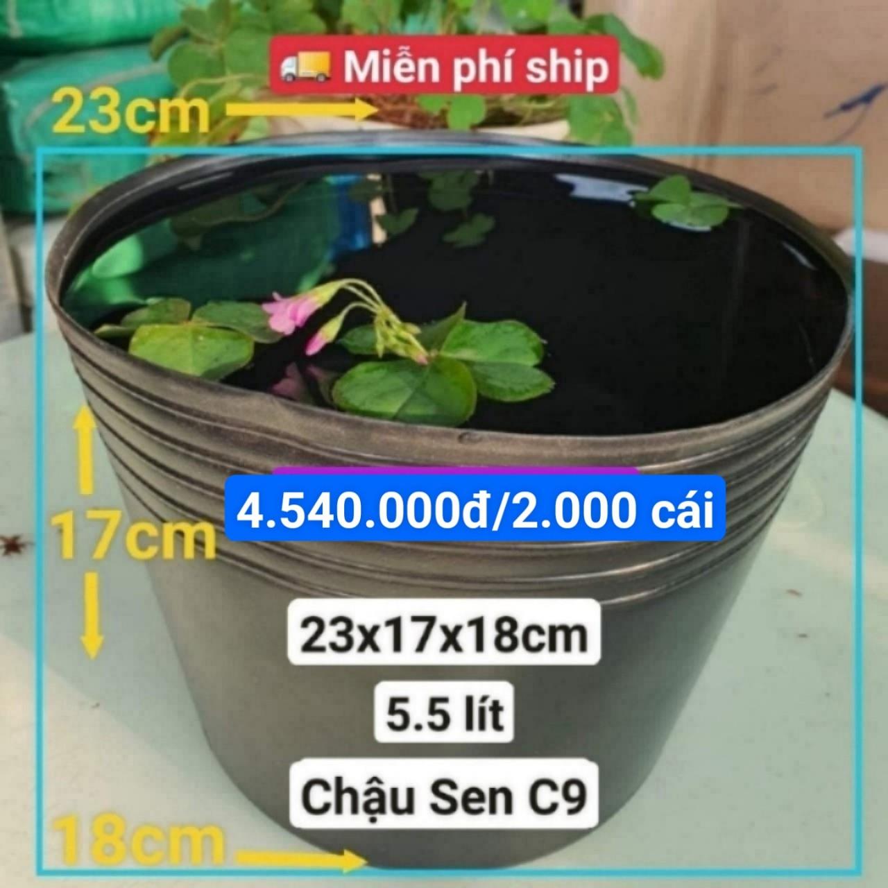 2000 Chậu Nhựa Trồng Sen C9