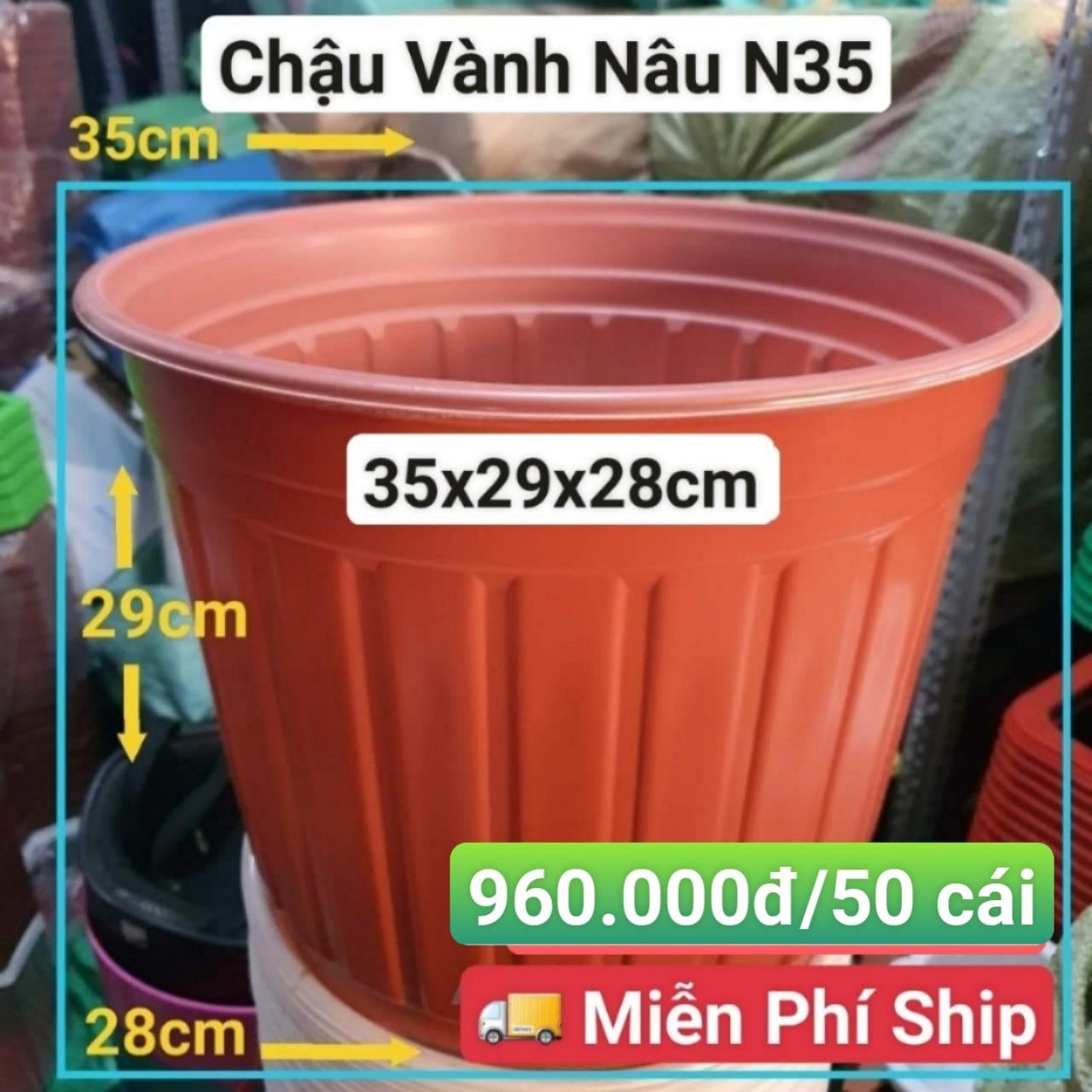 50 Chậu Vành Nâu N35