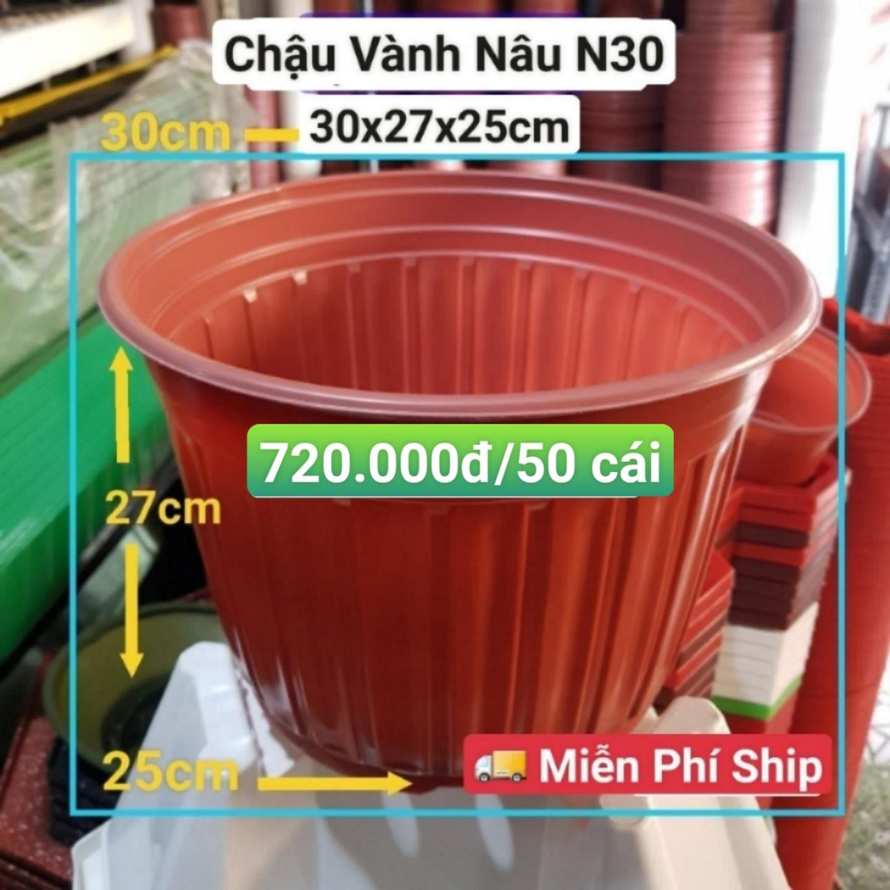 50 Chậu Vành Nâu N30