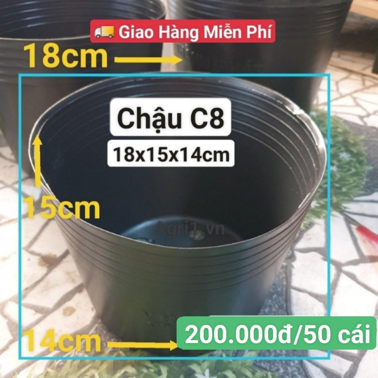 50 Chậu Mềm Đen C8