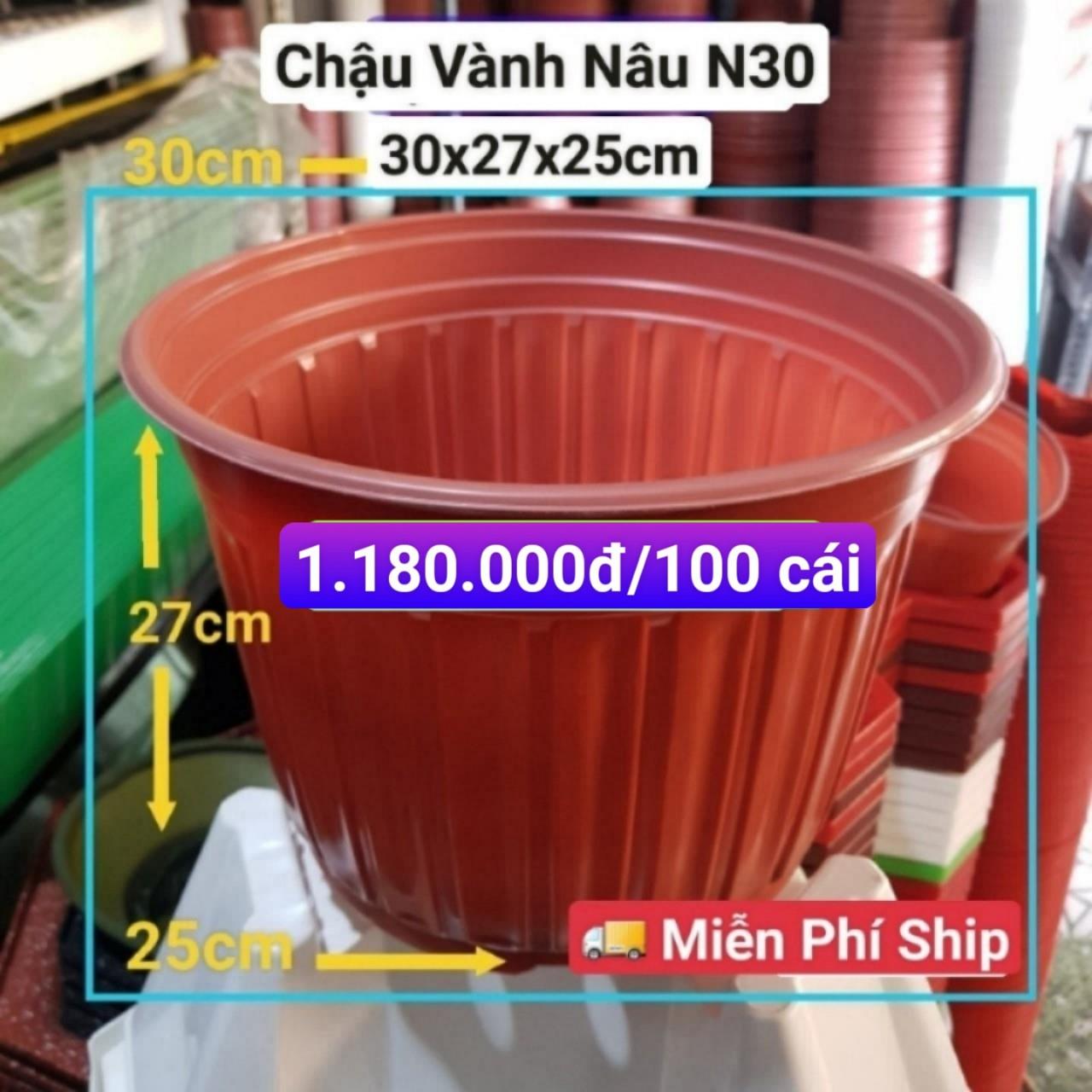 100 Chậu Vành Nâu N30