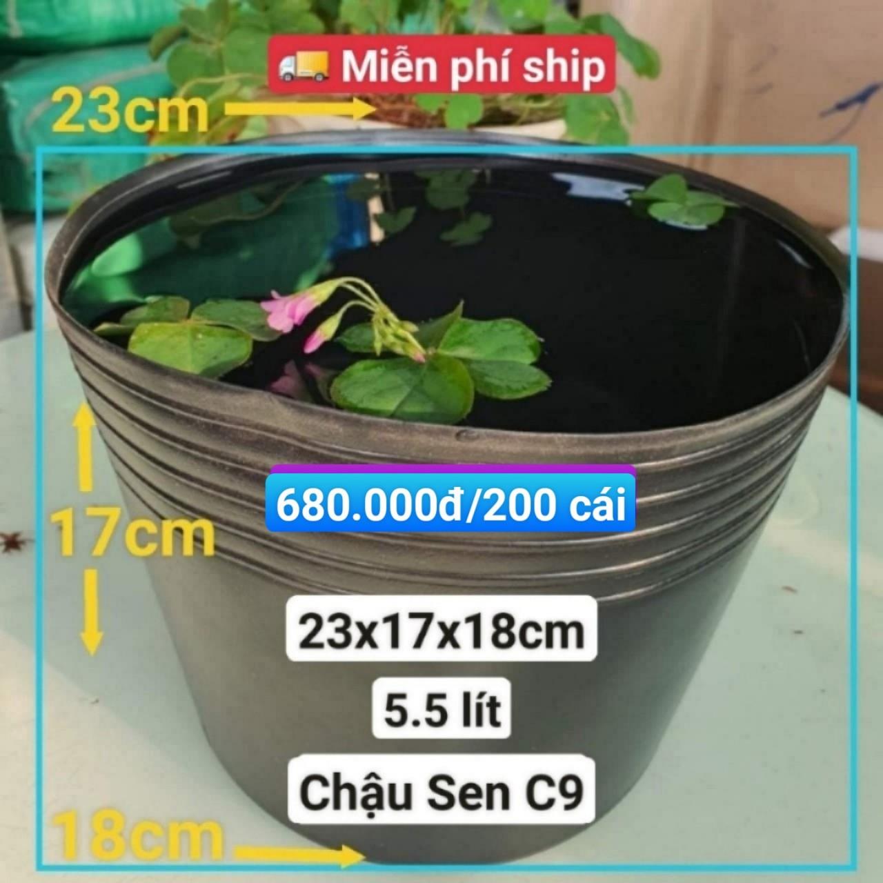200 Chậu Nhựa Trồng Sen C9