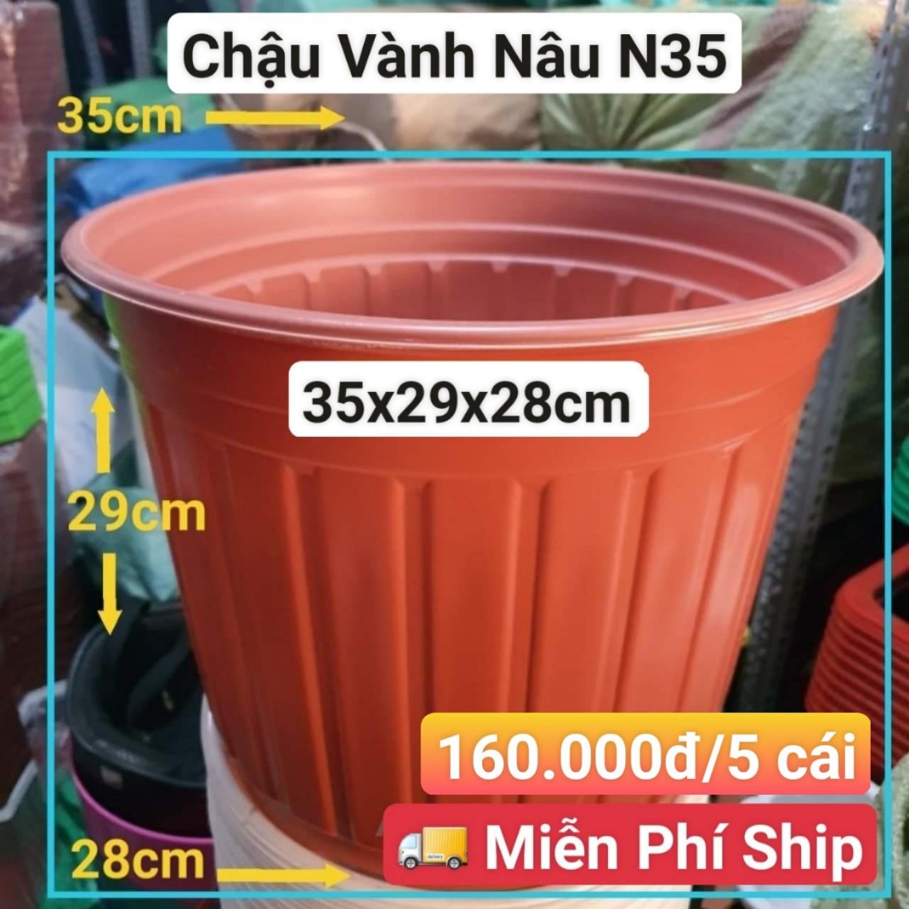 5 Chậu Vành Nâu N35