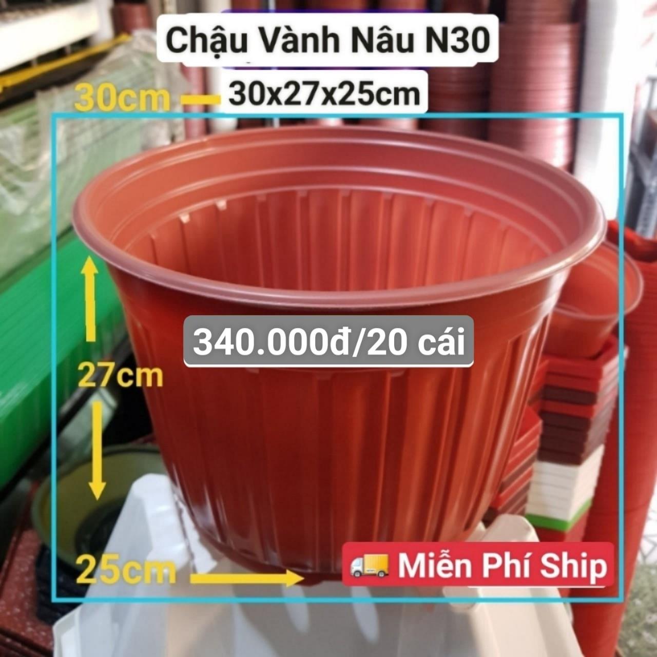 20 Chậu Vành Nâu N30