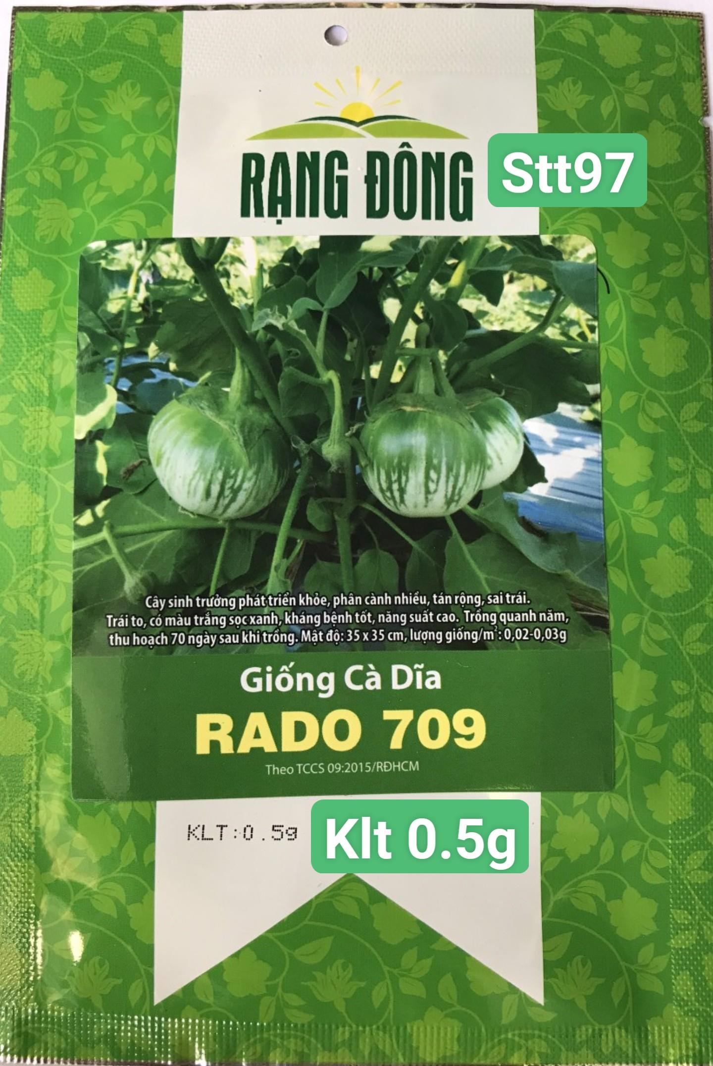 STT097 Cà Dĩa