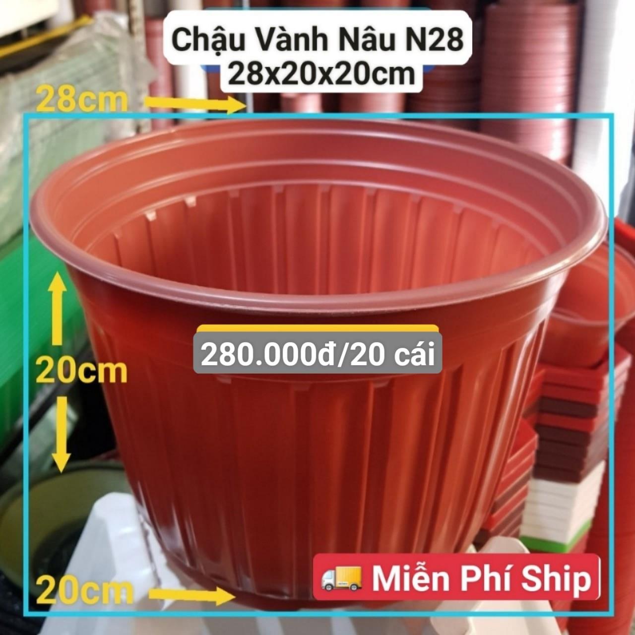 20 Chậu Vành Nâu N28