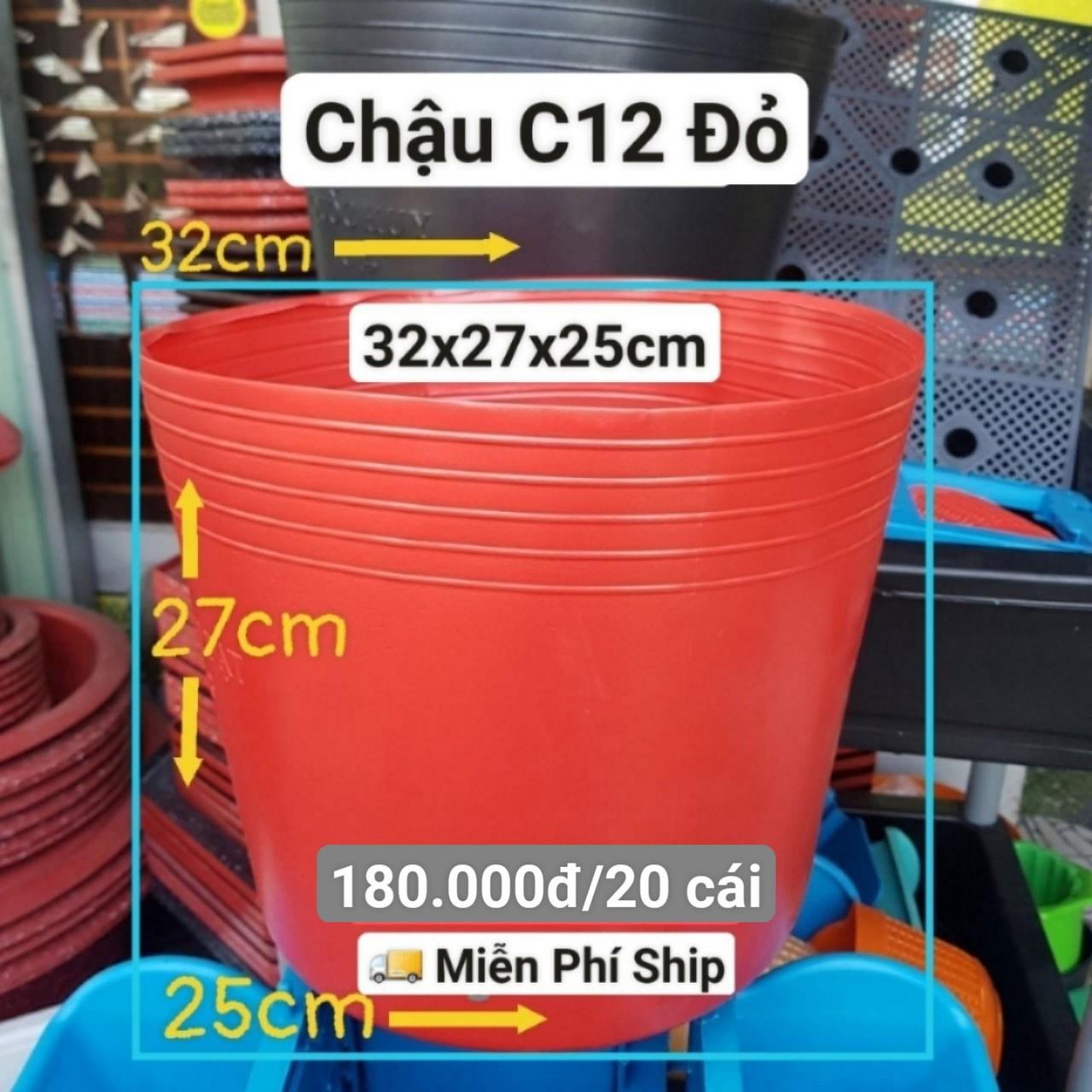 20 Chậu Mềm Đỏ C12