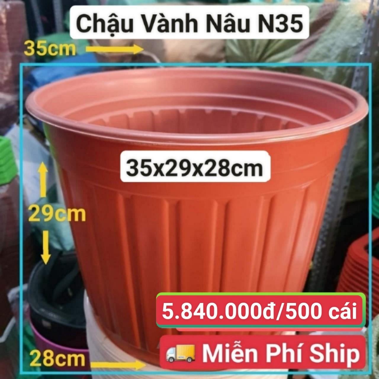 500 Chậu Vành Nâu N35