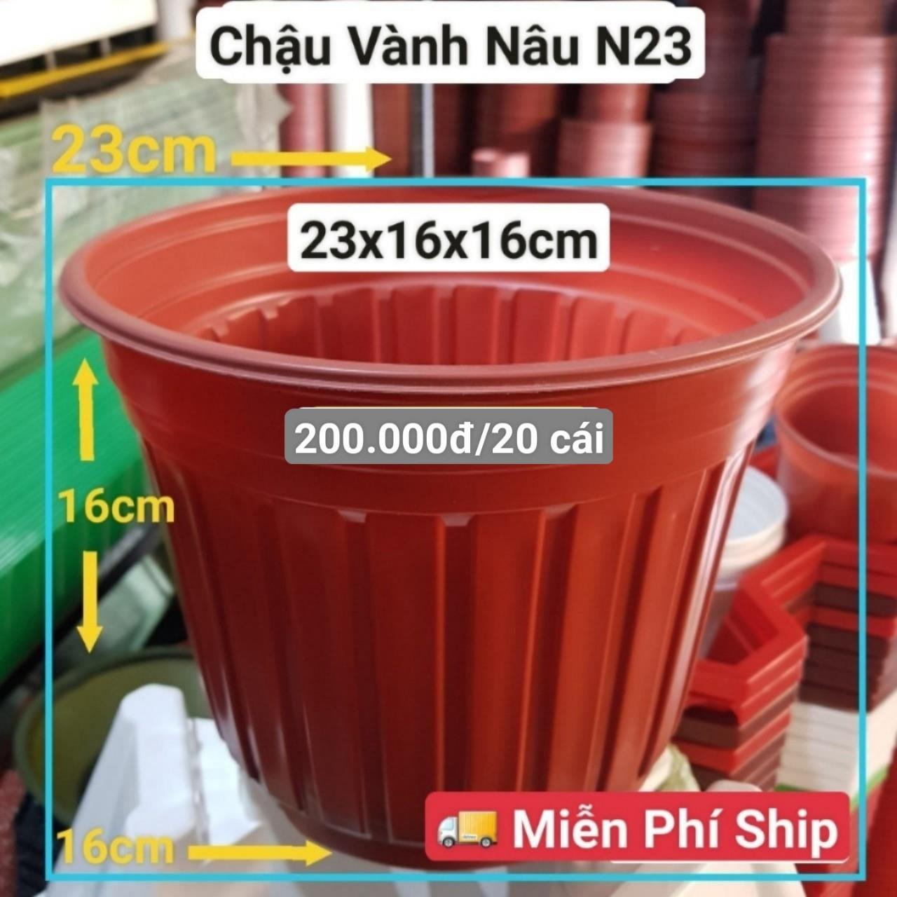 20 Chậu Vành Nâu N23