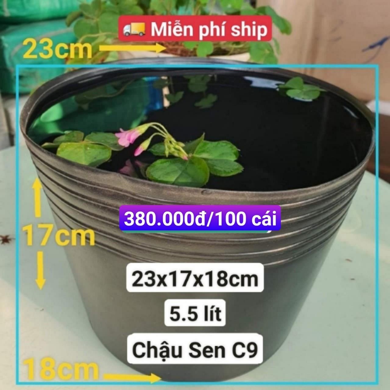 100 Chậu Nhựa Trồng Sen C9