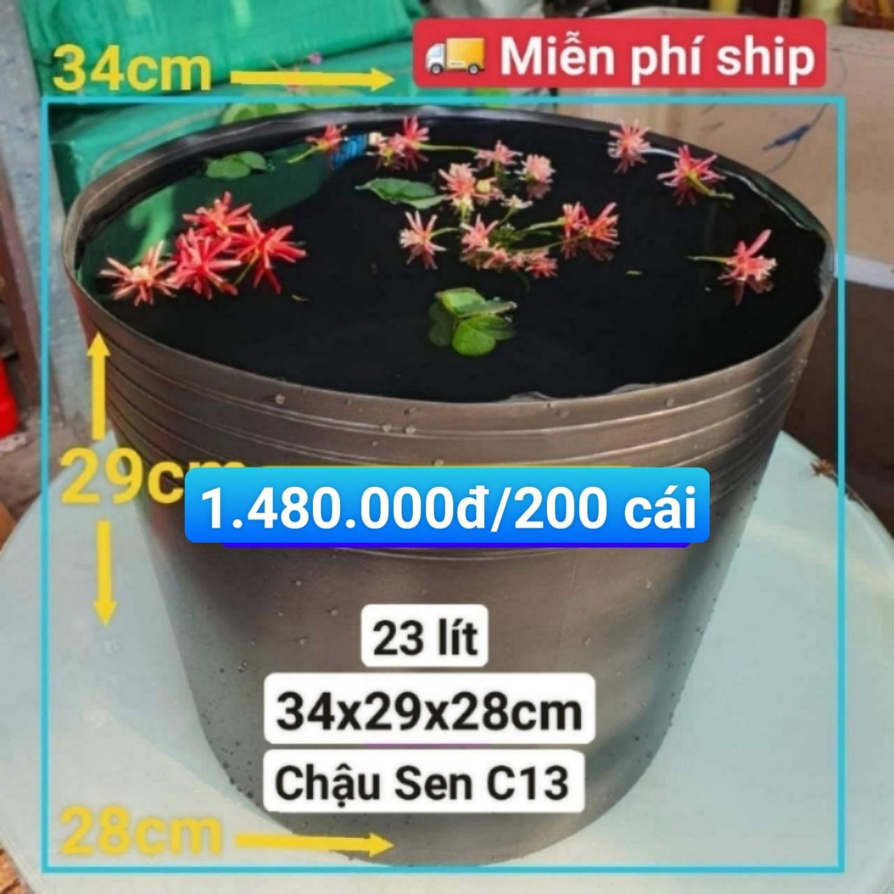 200 Chậu Nhựa Trồng Sen C13