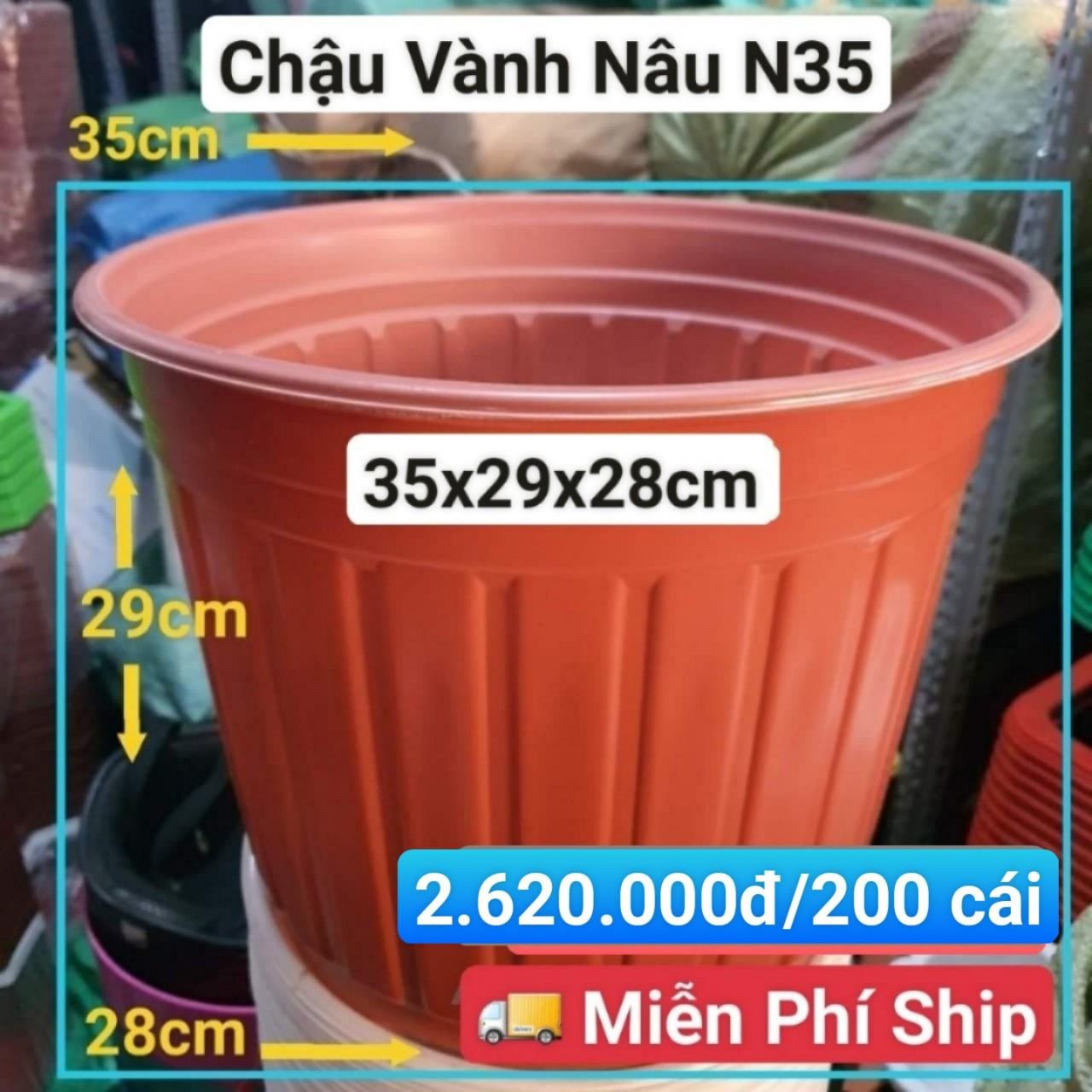 200 Chậu Vành Nâu N35