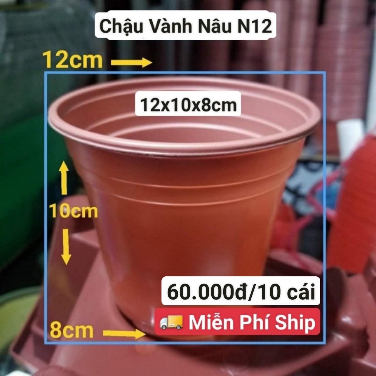 10 Chậu Vành Nâu N12