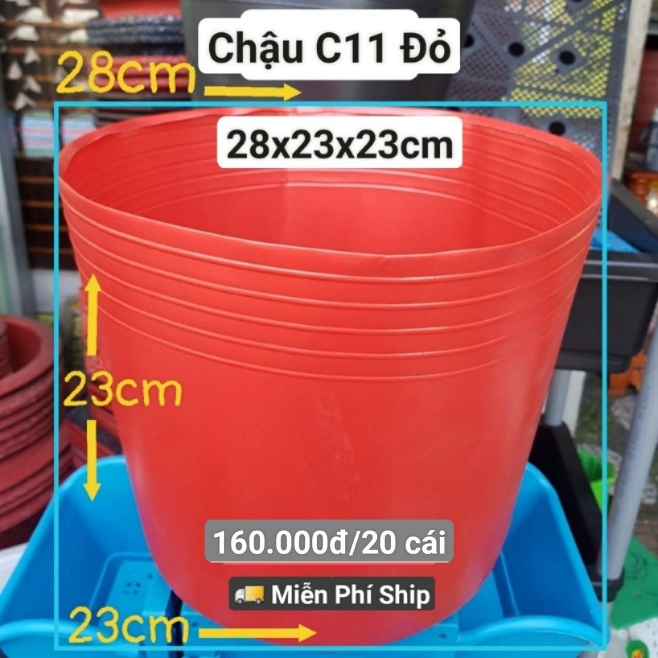20 Chậu Mềm Đỏ C11
