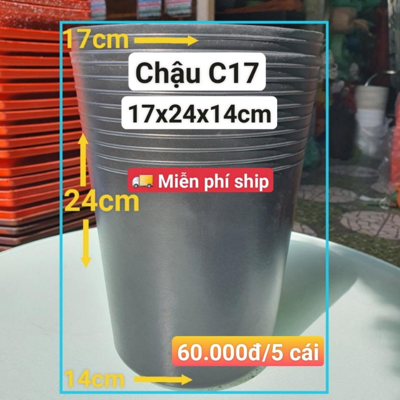 5 Chậu Ươm Cây Giống C17