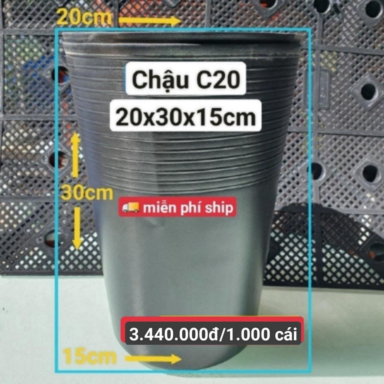 1000 Chậu Ươm Cây Giống C20