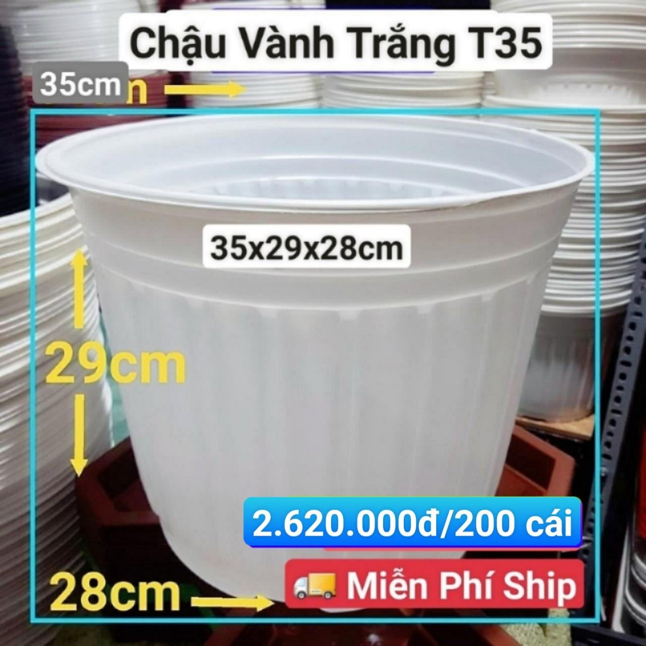 200 Chậu Vành Trắng T35