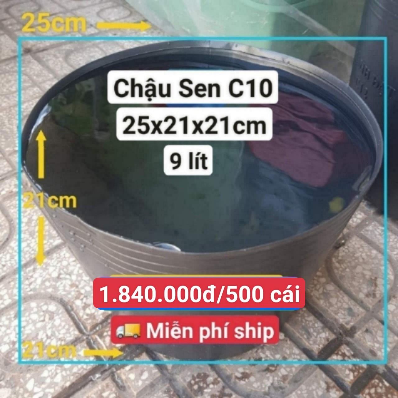 500 Chậu Nhựa Trồng Sen C10