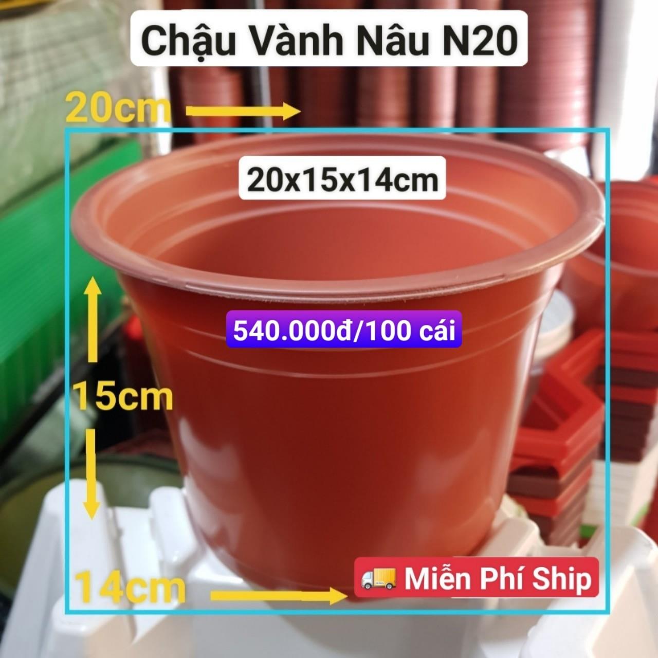 100 Chậu Vành Nâu N20