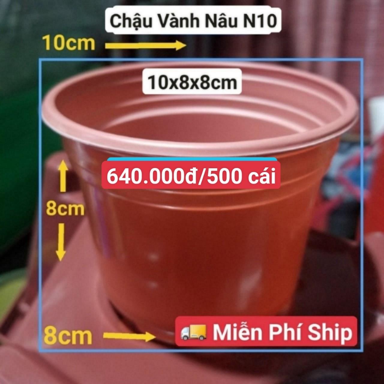 500 Chậu Vành Nâu N10