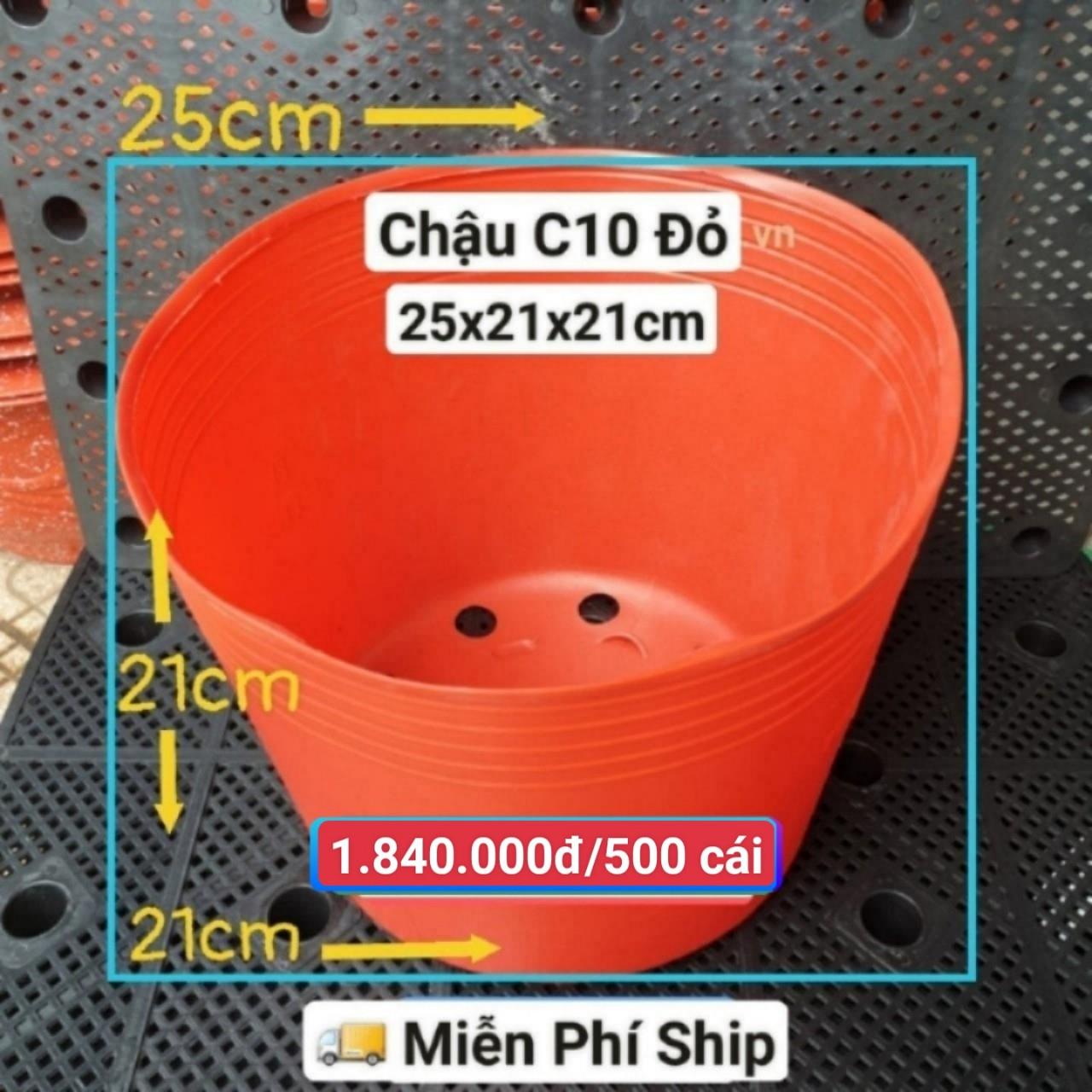 500 Chậu Mềm Đỏ C10